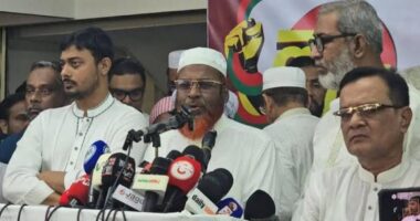 আমরা এই সরকারকে আন্দোলন করে আগামীকালকেই পতন করতে চাই না : গোলাম পরওয়ার