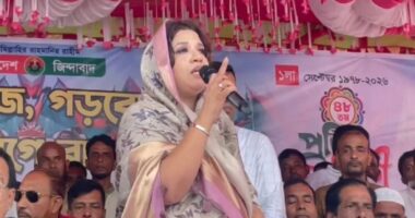 গত ১৭ বছরে বাংলাদেশের সবচেয়ে বেশি দুর্নীতি হয়েছে জ্বালানি খাতে: পররাষ্ট্র প্রতিমন্ত্রী
