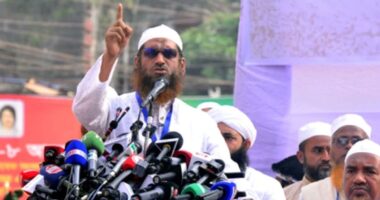 অটোমেটিক যে-ই যাবে লংকায়,সে-ই হবে হনুমান,যে-ই ক্ষমতায় যাবে,পাঁচ-দশ বছর পর সে-ই হাসিনায় পরিণত হবে: মামুনুল হক