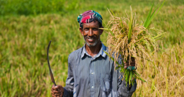 ১০ হাজার টাকা পর্যন্ত ঋণ-সুদ মওকুফ পেলেন ১৪ লাখ কৃষক