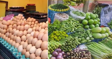 বাজারের ব্যাগ ভরতে বাড়তি খরচ, ডিমের হালি ৫৫ টাকা