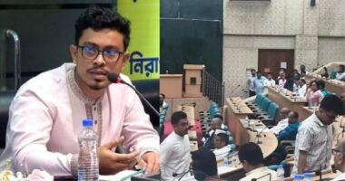 হল থেকে শেখ মুজিবের নাম না বদলানোয় সিনেট থেকে ডাকসু সদস্যদের ওয়াকআউট: সাদিক কায়েম