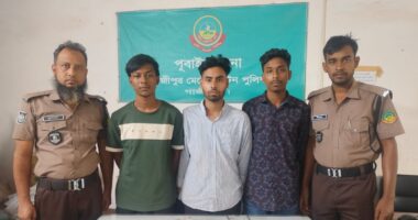 পূবাইলে ডাকাতির প্রস্তুতির অভিযোগে তিন যুবক গ্রেপ্তার