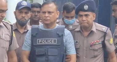 দ্বিতীয় দিনের মতো জিয়াউলের বিরুদ্ধে সাক্ষ্য দেবেন তদন্ত কর্মকর্তা