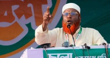 কার্যক্রম নিষিদ্ধ আওয়ামী লীগের সঙ্গে বিএনপির তলে তলে যোগাযোগ রয়েছে: মিয়া গোলাম পরওয়ার