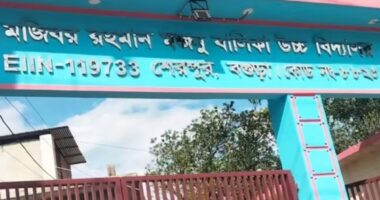 উত্ত্যক্তের বিচার চেয়ে উল্টো অপহরণের শিকার স্কুলছাত্রী, ৪ দিনেও মেলেনি সন্ধান