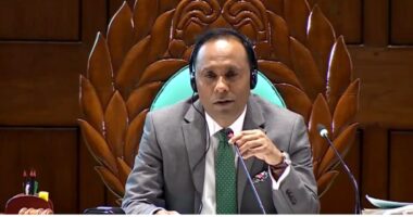 ১৪ বছরের কম বয়সী শিশুকে বাসাবাড়ির কাজে নিয়োগ নয়: ডেপুটি স্পিকার