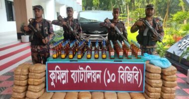 ১০ বিজিবির অভিযানে মাদকবাহী মাইক্রোবাস জব্দ, বিপুল পরিমাণ মদ-গাঁজা উদ্ধার