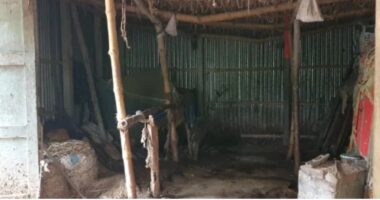 গুরুদাসপুরে এক রাতে ছয় গরু চুরি