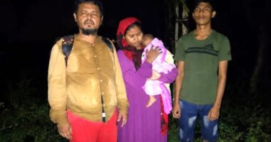 কুষ্টিয়া সীমান্তে বিএসএফের পুশ-ইন চেষ্টা প্রতিহত করল বিজিবি, ফেরত ৪ জন