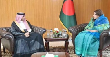 হামলায় নিহত দুই বাংলাদেশির মরদেহ ফেরাতে সৌদির সহায়তা চাইল সরকার