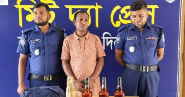 হিলিতে চার বোতল মদসহ ভারতীয় নাগরিক আটক