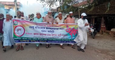 ভাঙ্গুড়ায় ডেঙ্গু প্রতিরোধে জনসচেতনতা সপ্তাহের কর্মসূচি উদ্বোধন