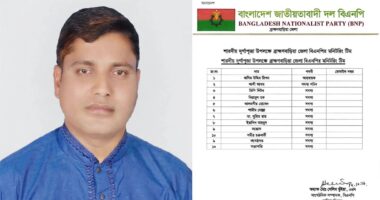 আন্দোলনে সামনের সারিতে, পূজা মনিটরিং কমিটিতে ঠাঁই নেই স্বেচ্ছাসেবক দলের, ব্রাহ্মণবাড়িয়ায় ক্ষোভ