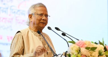 শারদীয় এই উৎসব আমাদের জাতিগত ঐক্য ও অসাম্প্রদায়িক সম্প্রীতির অনন্য প্রতীক: ড. ইউনূস