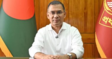 দুর্গাপূজায় উপলক্ষে সনাতন ধর্মাবলম্বীদের শুভেচ্ছা জানালেন প্রধানমন্ত্রী