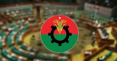 মিষ্টির শূন্য আসনে এমপি হতে চান সাবেক সংসদ সদস্যসহ বিএনপির ৭০ নেত্রী
