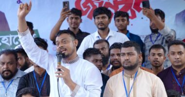 ‘পিপীলিকার পাখা গজায় মরিবার তরে’, বিএনপিকে ইঙ্গিত করে নাসীরুদ্দীন পাটওয়ারী