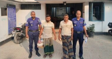 প্রবাসীর স্ত্রীকে ব্ল্যাকমেইল ও ৭ বছরের শিশুকে শ্লীলতাহানি, আটক ২