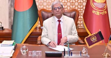 পৃথিবীতে যখন অন্যায়-অত্যাচার, নেমে এসেছিল, তখনই দেবী দুর্গার আবির্ভাব হয়েছিল: রাষ্ট্রপতি