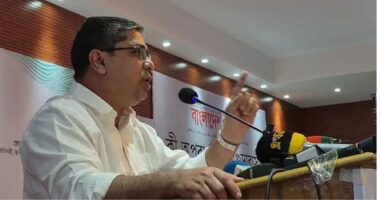 গত পূজায় ঢাকের তালে নাচলেন,এবার কেন গেলেন না? : জামায়াতকে প্রশ্ন মীর শাহে আলমের