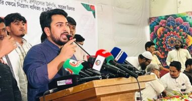 দ্রব্যমূল্যের চাপে মধ্যবিত্তের ডিম খাওয়া অর্ধেকের বেশি কমেছে: নাহিদ ইসলাম
