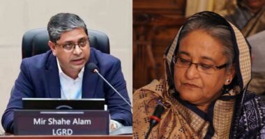 আমরাও চাই হাসিনা আসুক, দেশের মানুষ তাঁর বিচার দেখতে চায়: মীর শাহে আলম