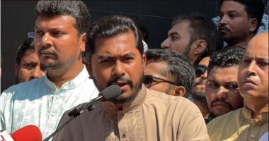 অন্তর্বর্তী সরকারের পৃষ্ঠপোষকতা পাওয়া কিংস পার্টি গুপ্তচরদের প্রক্সি সংগঠন: নুর
