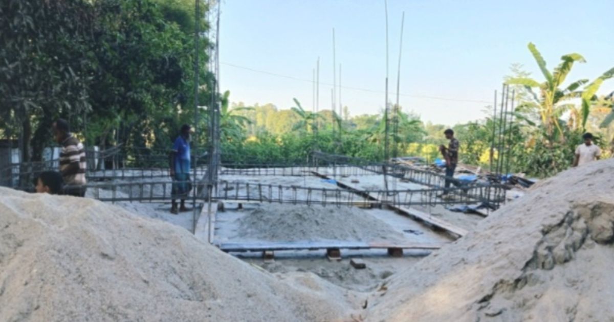 ঘাটাইলে সরকারী গাছে কেটে বাড়ি নির্মাণ