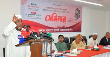 আওয়ামী লীগ ও বিএনপি'র মধ্যে নামের পার্থক্য, চরিত্র সব এক: গোলাম পরওয়ার