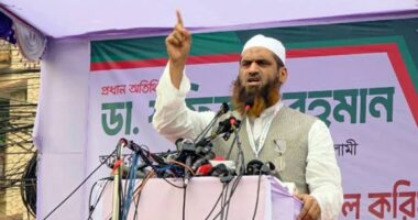 আমাদের এই ঐক্য শুধু ১১ দলের নয়, এটি জনগণের ঐক্য: মামুনুল হক