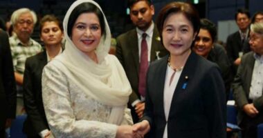 মাতৃ ও শিশুস্বাস্থ্য উন্নয়নে জাপানের সহযোগিতা চাইলেন ডা. জুবাইদা রহমান