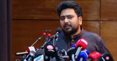 সমালোচকদের গ্রেপ্তার করে সরকার স্বৈরাচারী আচরণ করছে: নাহিদ ইসলাম