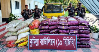 কুমিল্লায় ১০ বিজিবির বিশেষ অভিযান, পিকআপসহ ২৭ লাখ টাকার বেশি মূল্যের বাসমতি চাল ও ফুচকা জব্দ