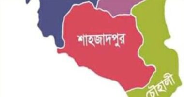 শাহজাদপুরে মাদক বন্ধে মাইকিং, ধরা পড়লে দিতে হবে ১০ হাজার টাকা জরিমানা