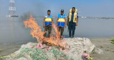 মা ইলিশ রক্ষায় পদ্মায় ২২ দিনের অভিযান, জব্দ ৯ লাখ ২৫ হাজার মিটার কারেন্ট জাল