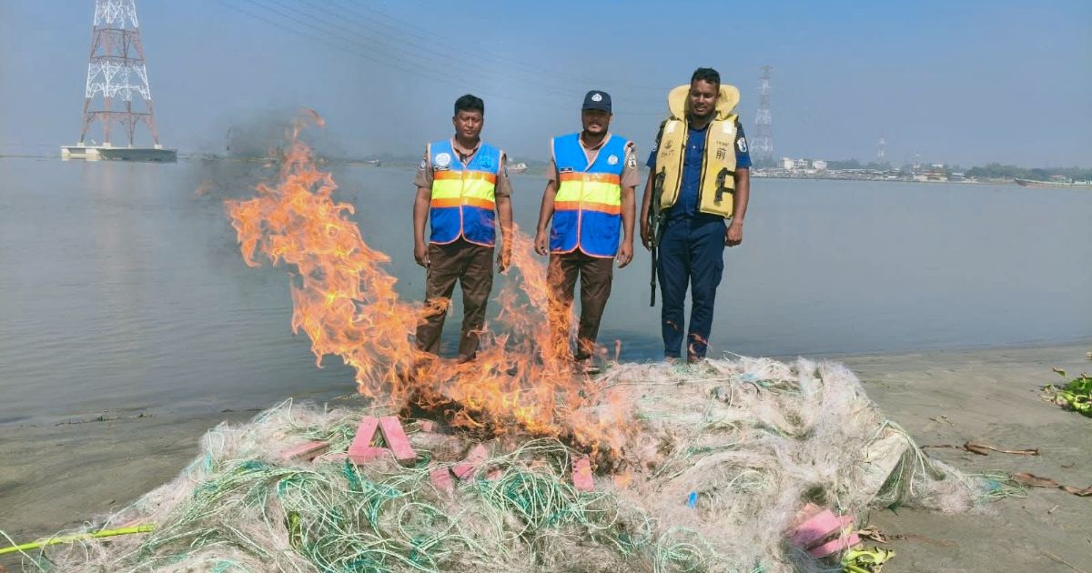 মা ইলিশ রক্ষায় পদ্মায় ২২ দিনের অভিযান, জব্দ ৯ লাখ ২৫ হাজার মিটার কারেন্ট জাল