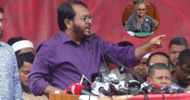 ‘ডিসেম্বর পর্যন্ত অপেক্ষা করেন না বোন, নভেম্বরেই চলে আসেন’: মঞ্জু