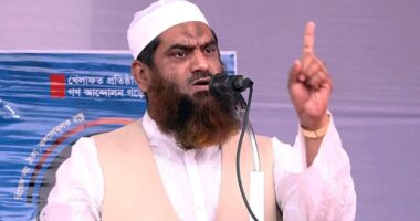 গণভোটের রায় কার্যকর না করাই দেশের সংকটের মূল কারণ: মামুনুল হক