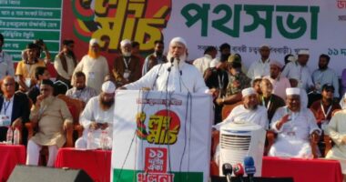 গণভোটের রায় বাস্তবায়ন না হওয়া পর্যন্ত ধারাবাহিক আন্দোলন চলবে: জামায়াত আমির