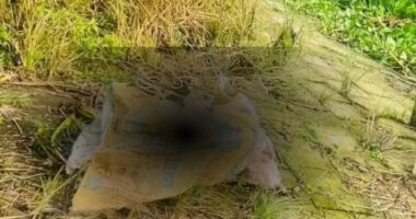 নদীর তীরে মিলল হাত-পা বাঁধা বস্তাবন্দি যুবকের মরদেহ, শরীরে কোপের চিহ্ন