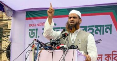 গণভোট অবৈধ হলে বিএনপি সরকারও অবৈধ: মামুনুল হক