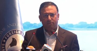 সৌদির সঙ্গে অর্থনৈতিক ও কৌশলগত সম্পর্ক চায় ঢাকা: হুমায়ুন কবির