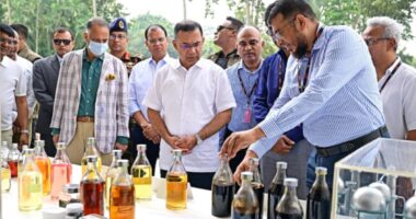 বর্জ্য থেকে জ্বালানি তেল উৎপাদনের প্রকল্প দেখলেন প্রধানমন্ত্রী, বাস্তবায়নে সহায়তার আশ্বাস