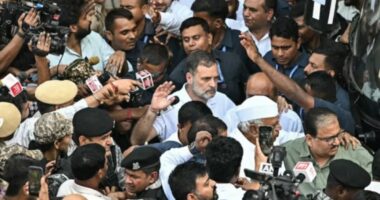 ‘পতনের দ্বারপ্রান্তে মোদি’, সোমবার দিল্লিতে বড় বিক্ষোভের ডাক ইন্ডিয়া জোটের