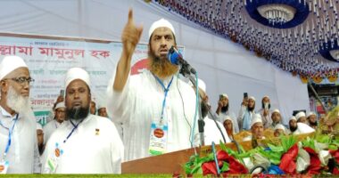 গণভোট অবৈধ হলে বিএনপি সরকারও অবৈধ: মামুনুল হক