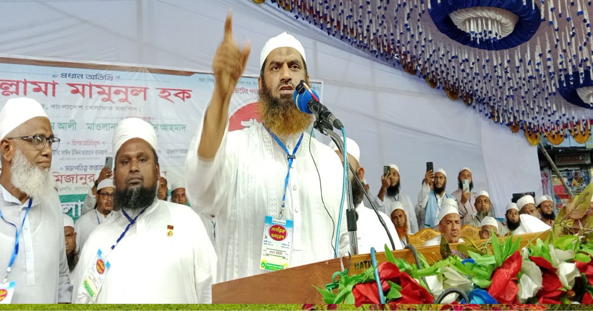 গণভোট অবৈধ হলে বিএনপি সরকারও অবৈধ: মামুনুল হক
