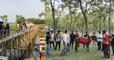 পরিত্যক্ত বন থেকে দর্শনীয় স্থান, বদলে যাচ্ছে উত্তর গোমনাতী ফরেস্টের চিত্র
