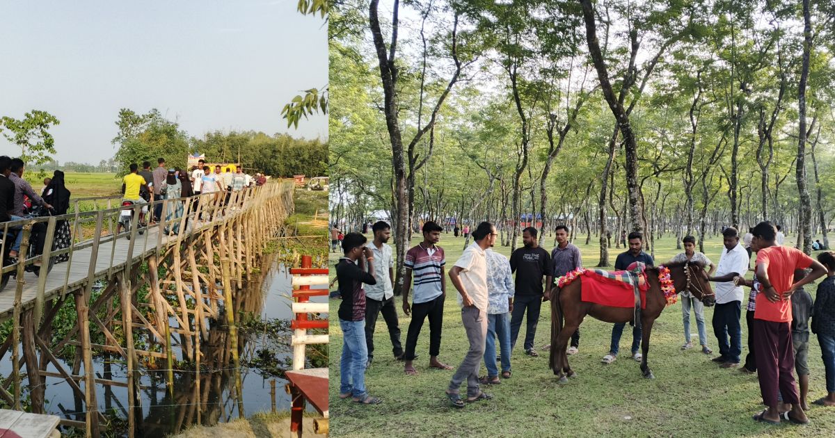 পরিত্যক্ত বন থেকে দর্শনীয় স্থান, বদলে যাচ্ছে উত্তর গোমনাতী ফরেস্টের চিত্র