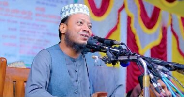 শপথ নেওয়ার পর গত সাড়ে ছয় মাসে এক টাকাও দুর্নীতি করিনি: আমির হামজা